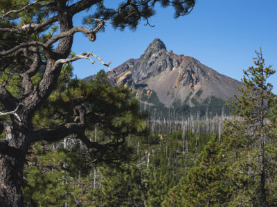 Central Cascades Wilderness Permit Guide (2025)
