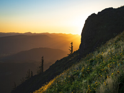10 Must-See Wildflower Hikes in the Pacific Northwest