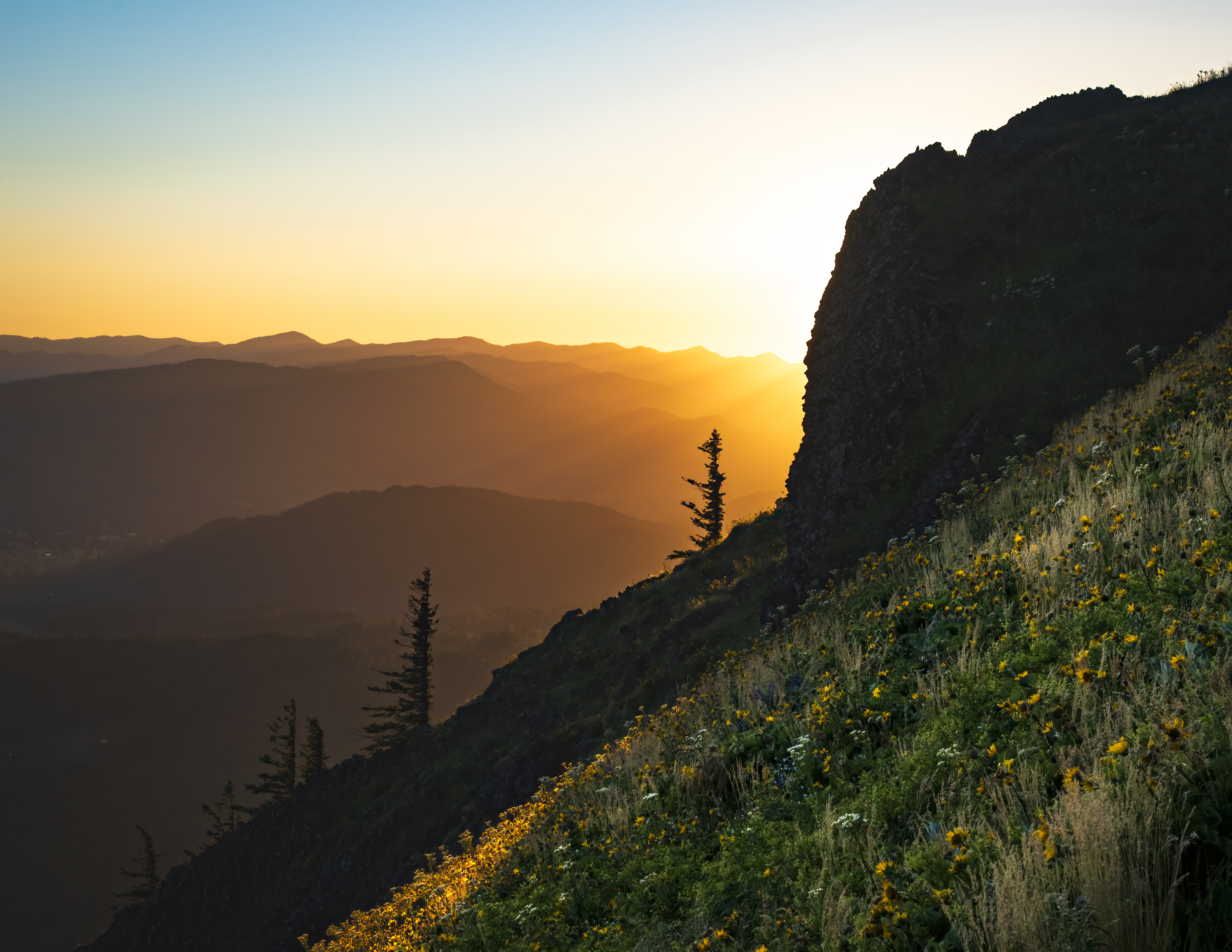 Sunset over Dog Mountain with wildflower meadows in the Columbia River Gorge, Washington